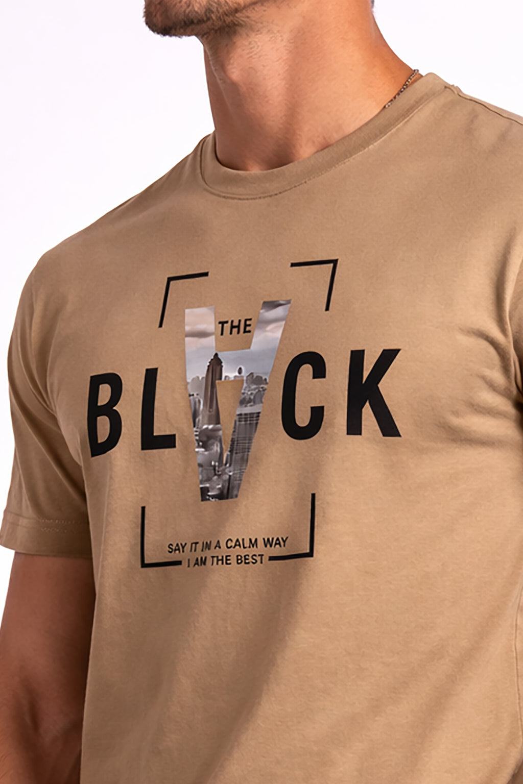 Men’s Cotton Graphic Printed Round Neck Half Sleeve T-Shirt